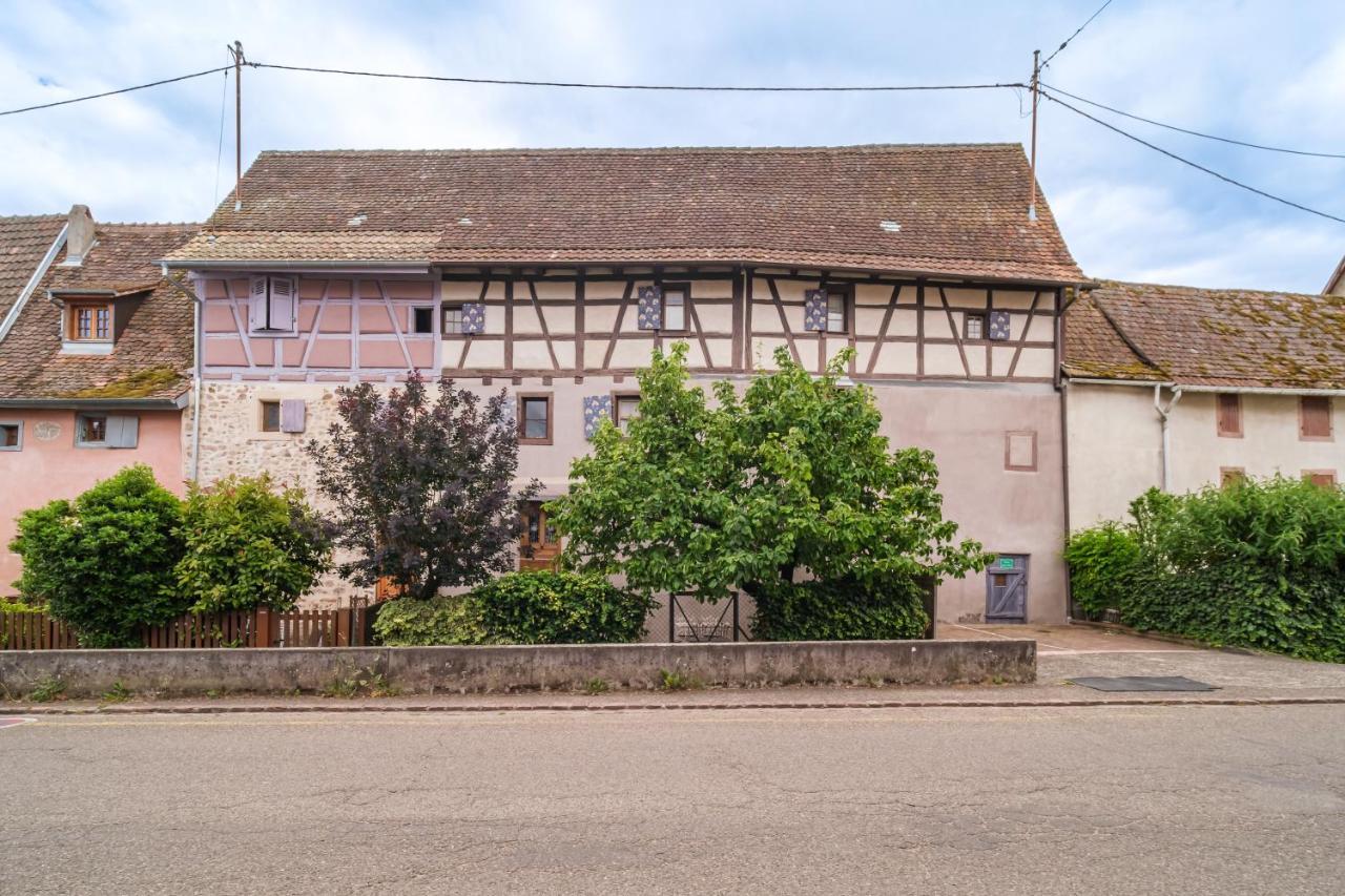 Appartement Chez Jade et Ambre à Eguisheim Extérieur photo